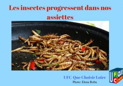 LES INSECTES PROGRESSENT DANS NOS ASSIETTES