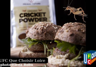 Liste complète des produits alimentaires pour lesquels l&rsquo;utilisation de la poudre de grillon domestique a été autorisée